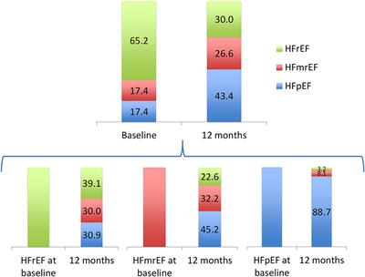 Mortality Risk Prediction Dynamics After Heart Failure Treatment Optimization: Repeat Risk Assessment Using Online Risk Calculators